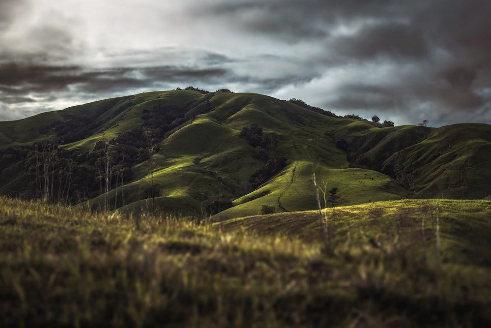 a lush green hillside under a cloudy sky