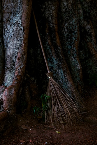 a broom stuck in the trunk of a tree