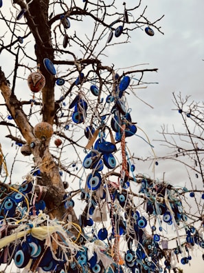 A tree with numerous branches adorned with blue and white amulets, commonly known as evil eye beads. These beads are mostly circular with a central dark spot surrounded by lighter blue and white layers. The tree is bare of leaves, and the sky in the background is overcast.