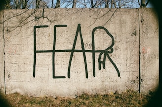 a wall that has the word fear written on it