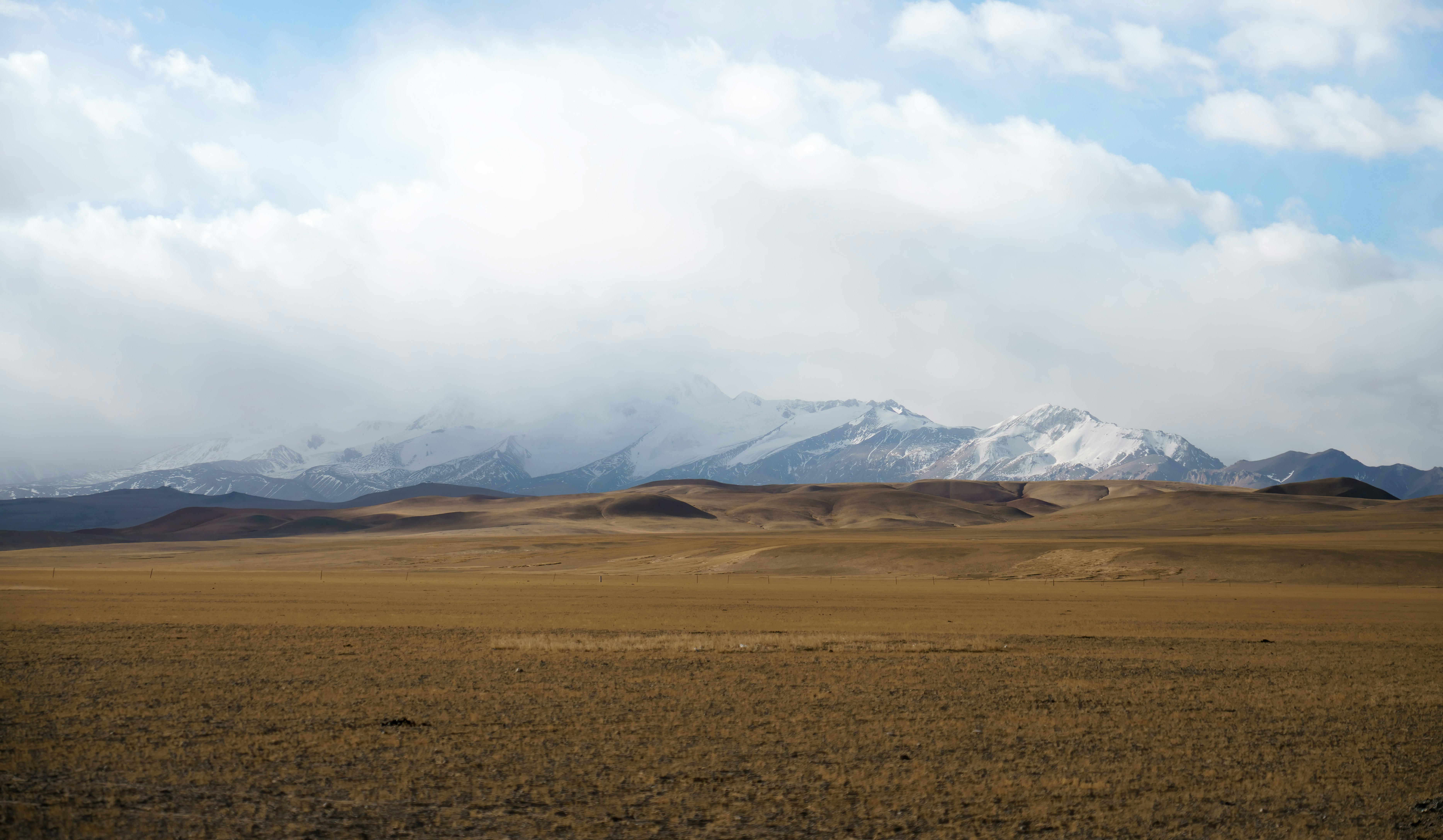 Photo by juniperphoton