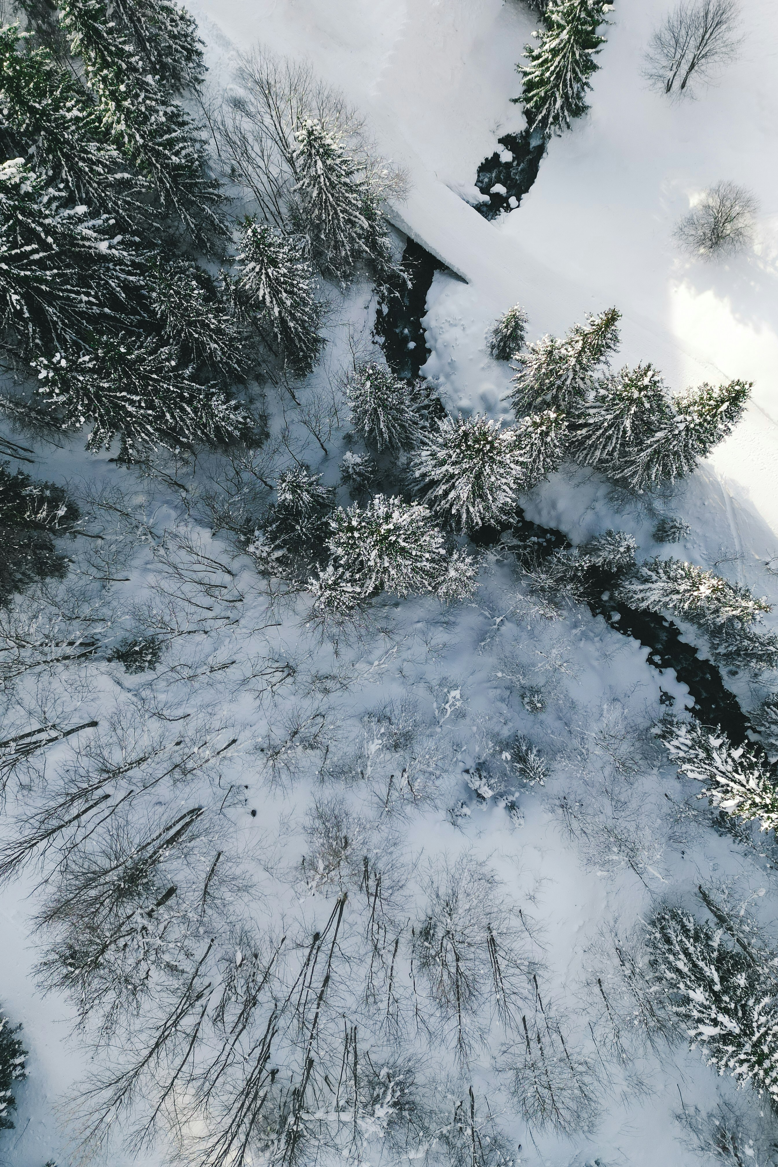 Photo by kevin_charit