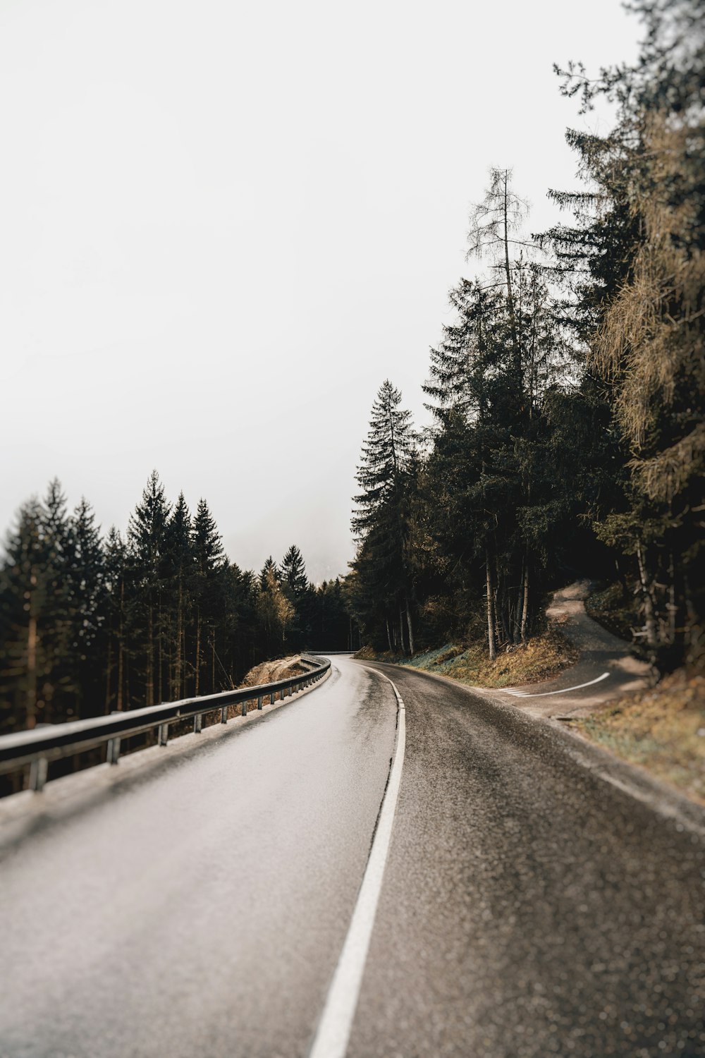 an empty road with trees on both sides