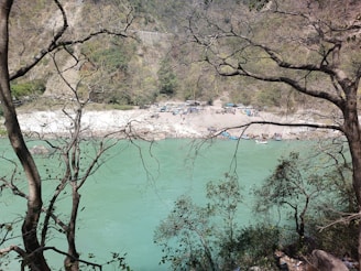 Volunteers cleaning a riverbank surrounded by vibrant greenery.