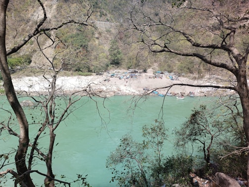 Volunteers cleaning a riverbank surrounded by vibrant greenery.