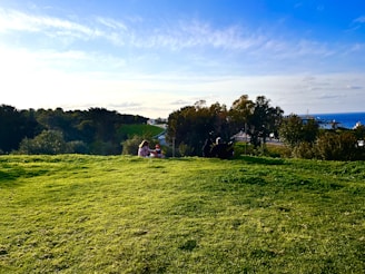 A peaceful outdoor coaching session with clients seated on a grassy hill under a clear blue sky.