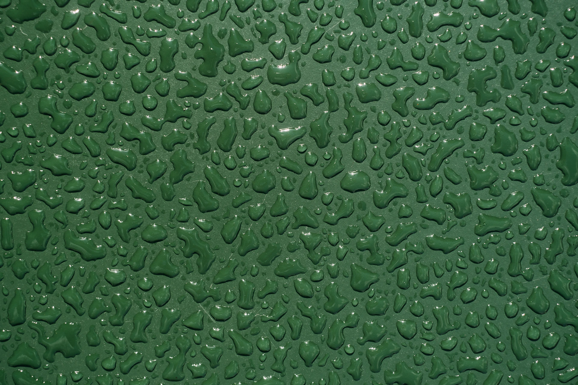 a close up of water drops on a green surface