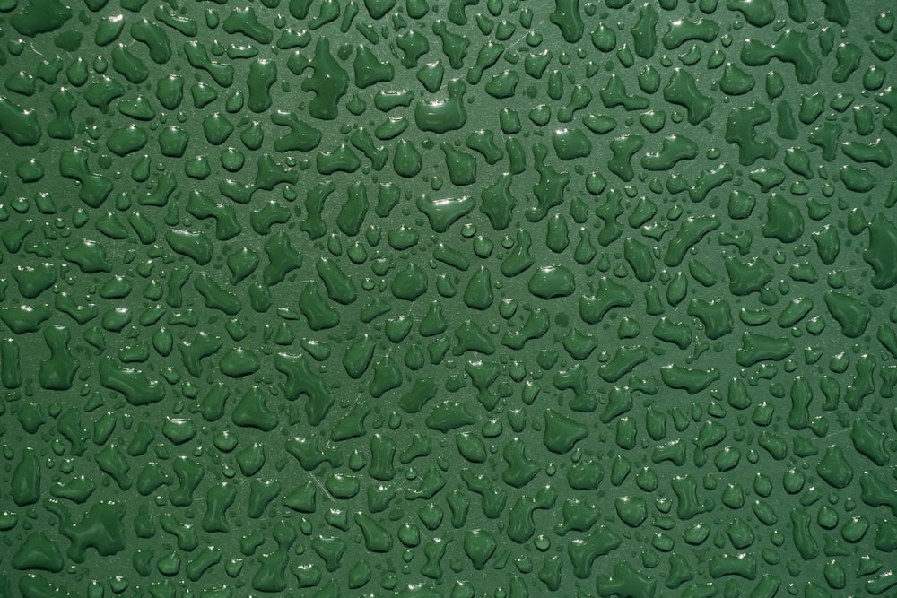 a close up of water drops on a green surface