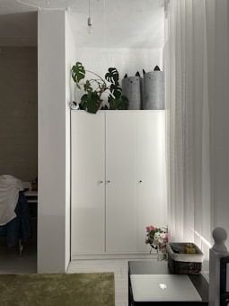 A minimalist room features a white wardrobe with potted plants and cat-themed storage baskets on top. The room is well-lit with natural light filtering through sheer curtains. A small desk with a chair and a draped jacket is partially visible. A green rug lies on the floor, and a black table holds a vase of flowers and a fruit basket next to a closed laptop.