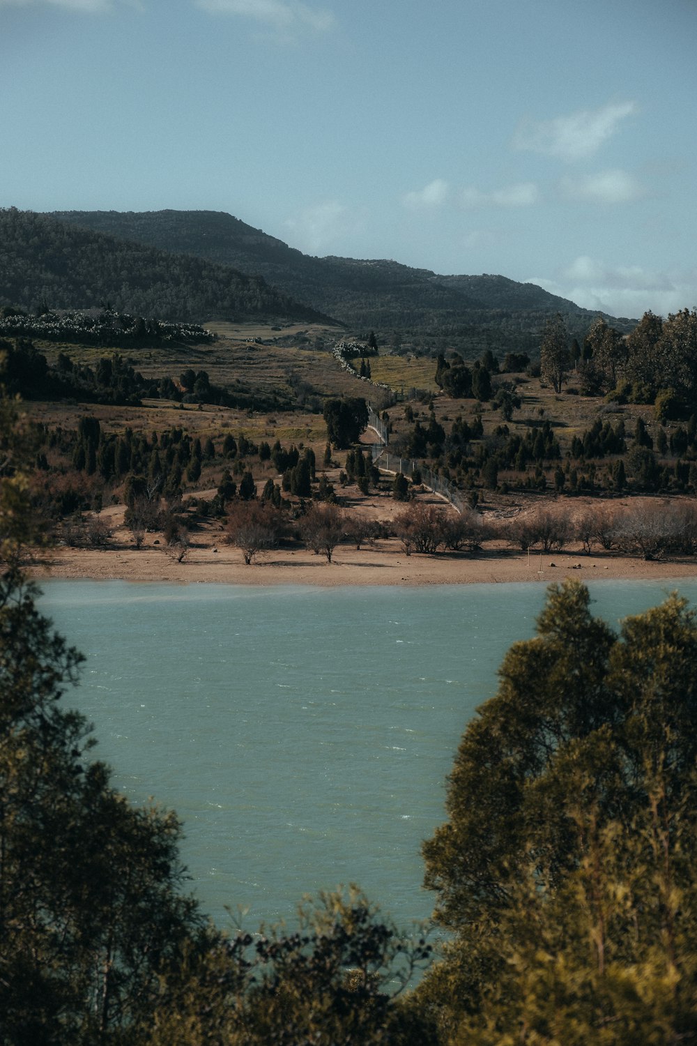 a body of water surrounded by trees and hills