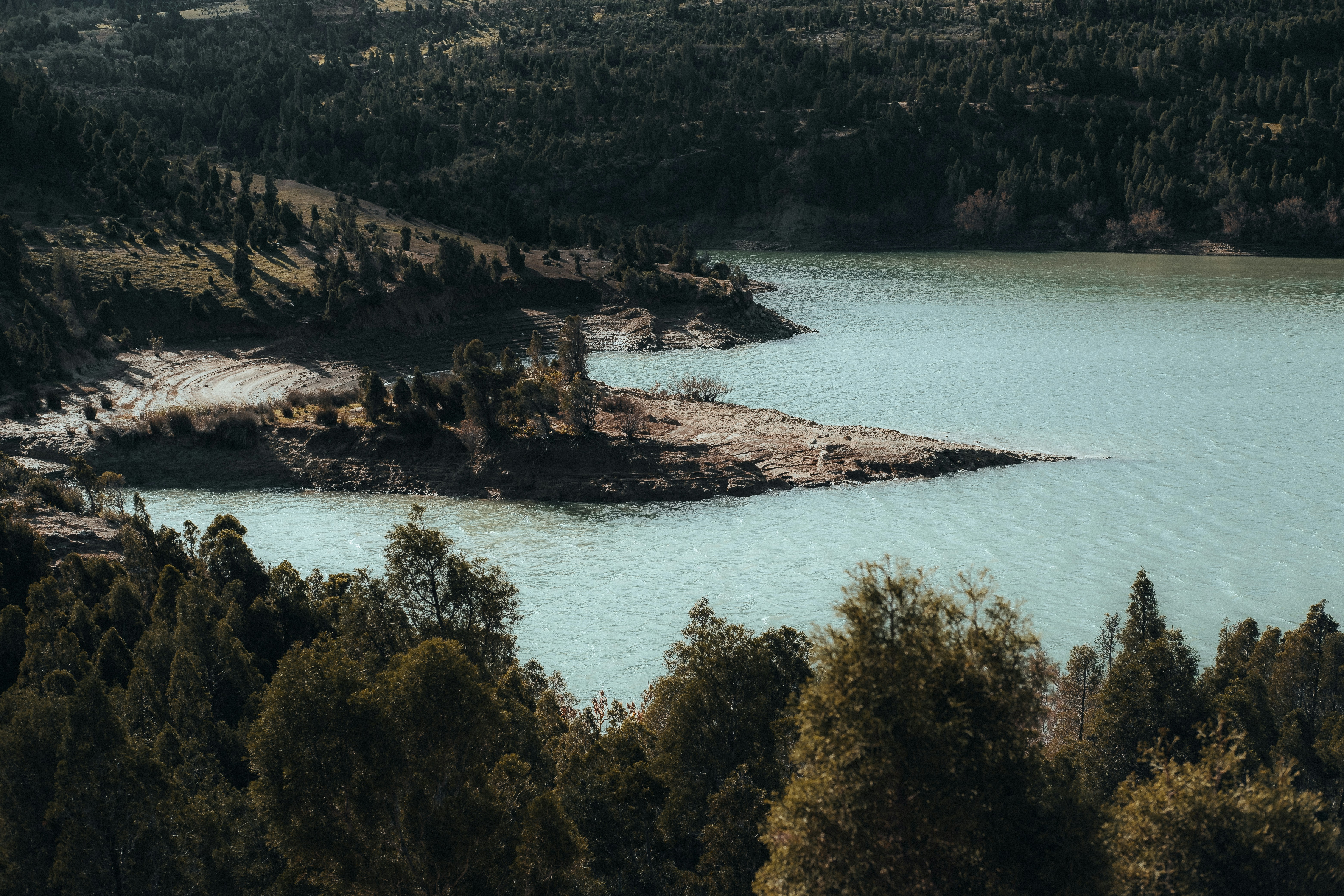 a large body of water surrounded by trees