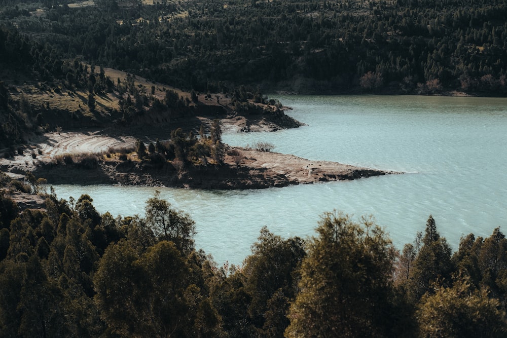 a large body of water surrounded by trees