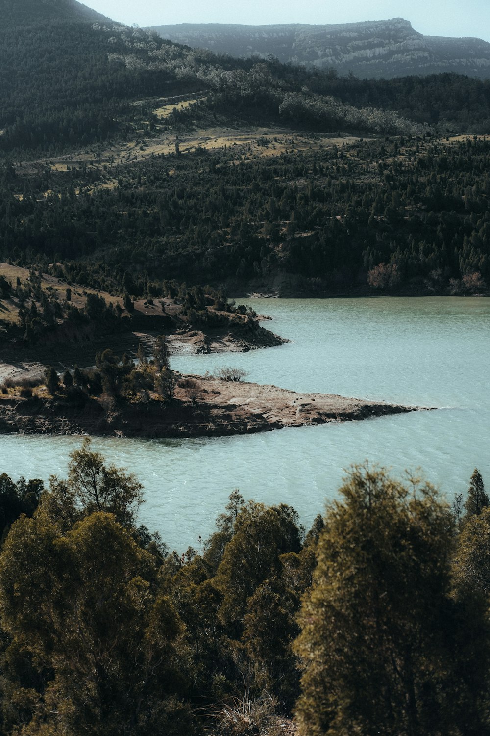 a large body of water surrounded by trees