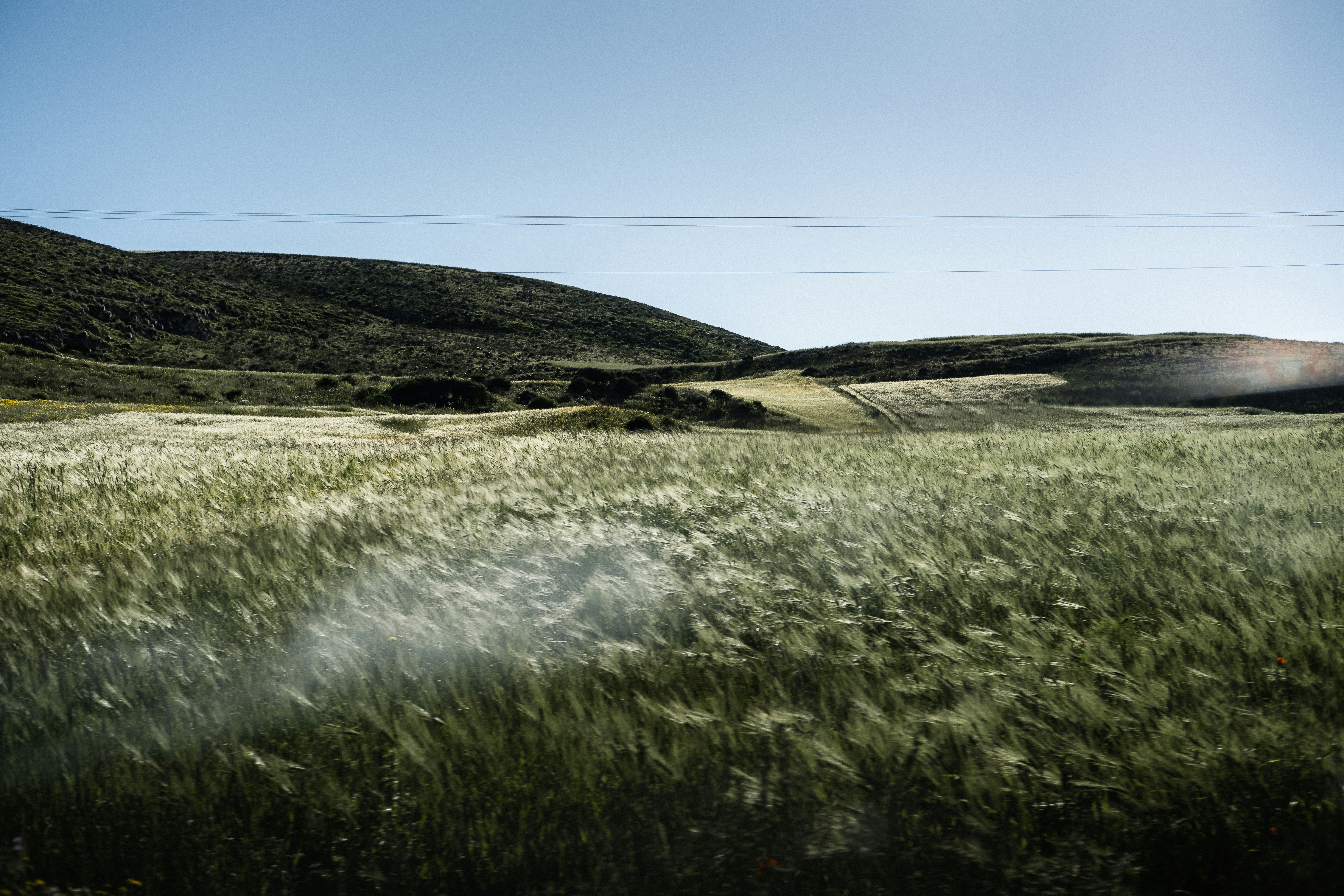 a grassy field with a hill in the background