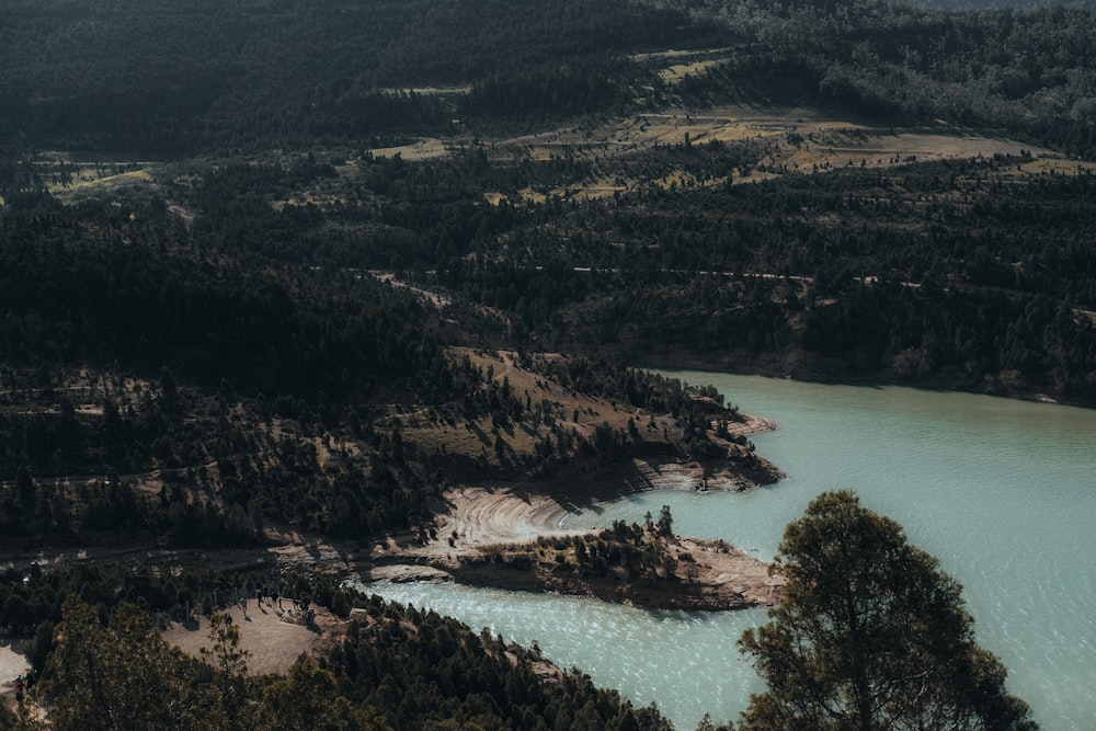 an aerial view of a lake surrounded by trees