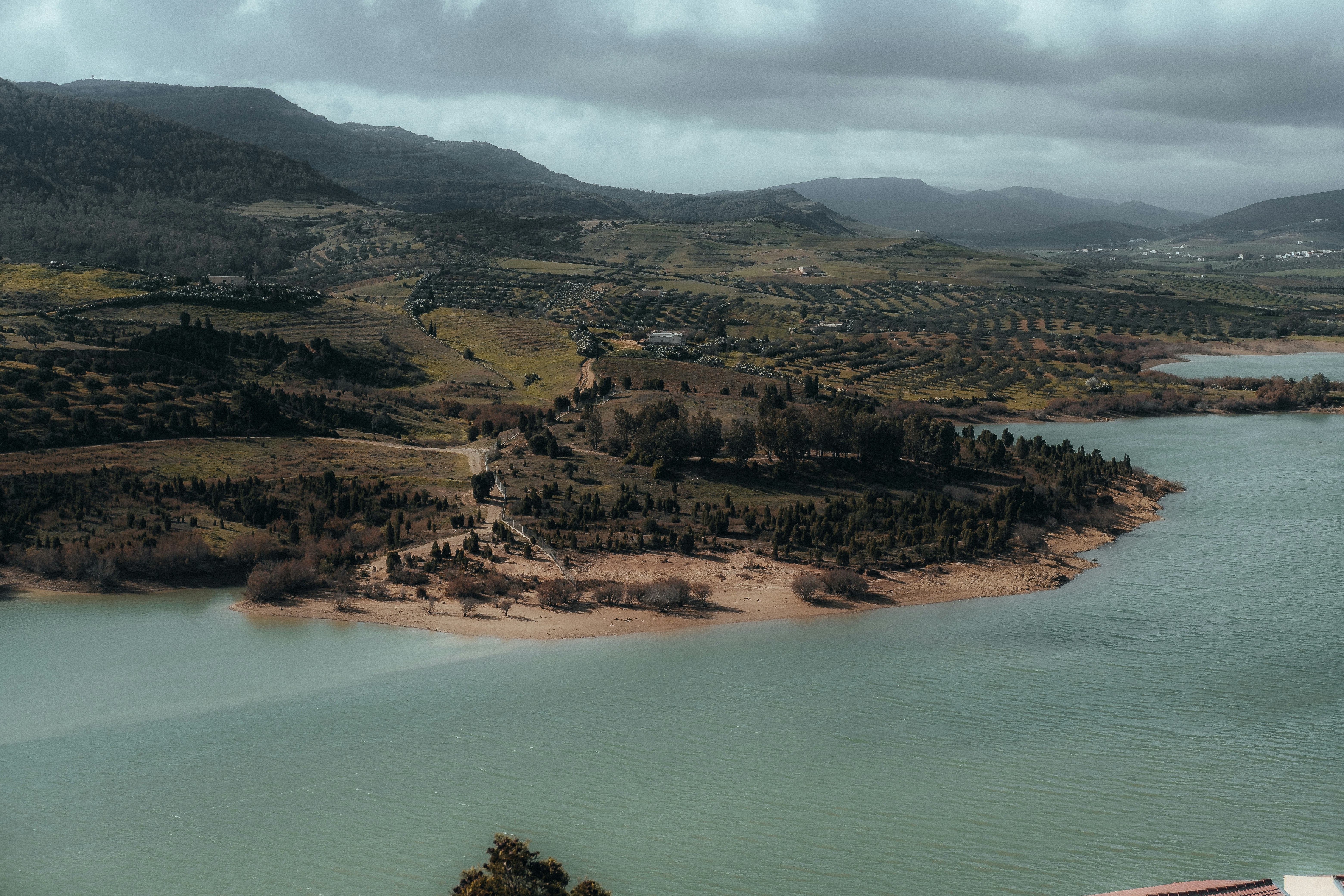a body of water surrounded by mountains and trees
