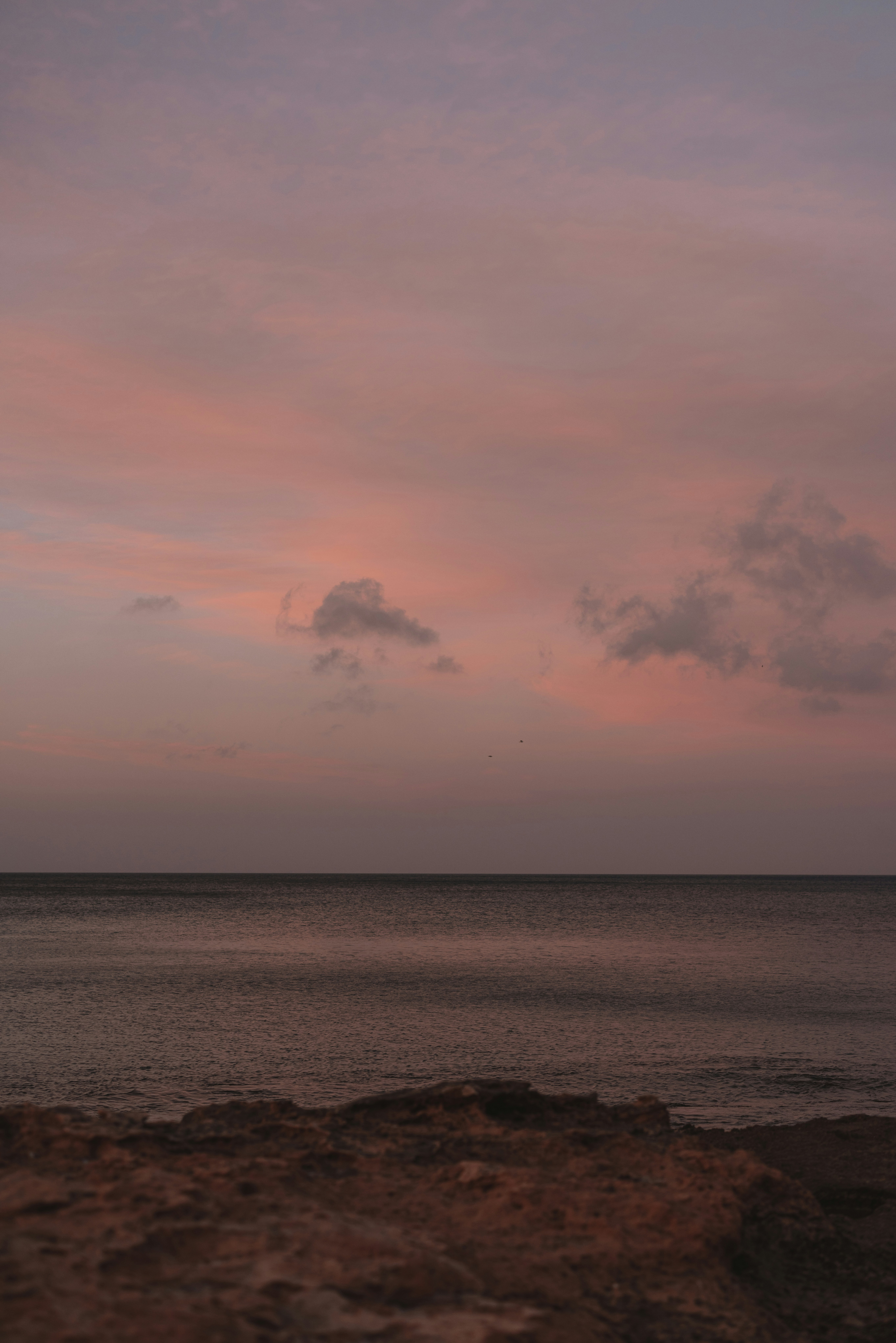 Photo by jorchalon