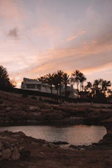 Modern beachfront condominium complex at sunset with palm trees.