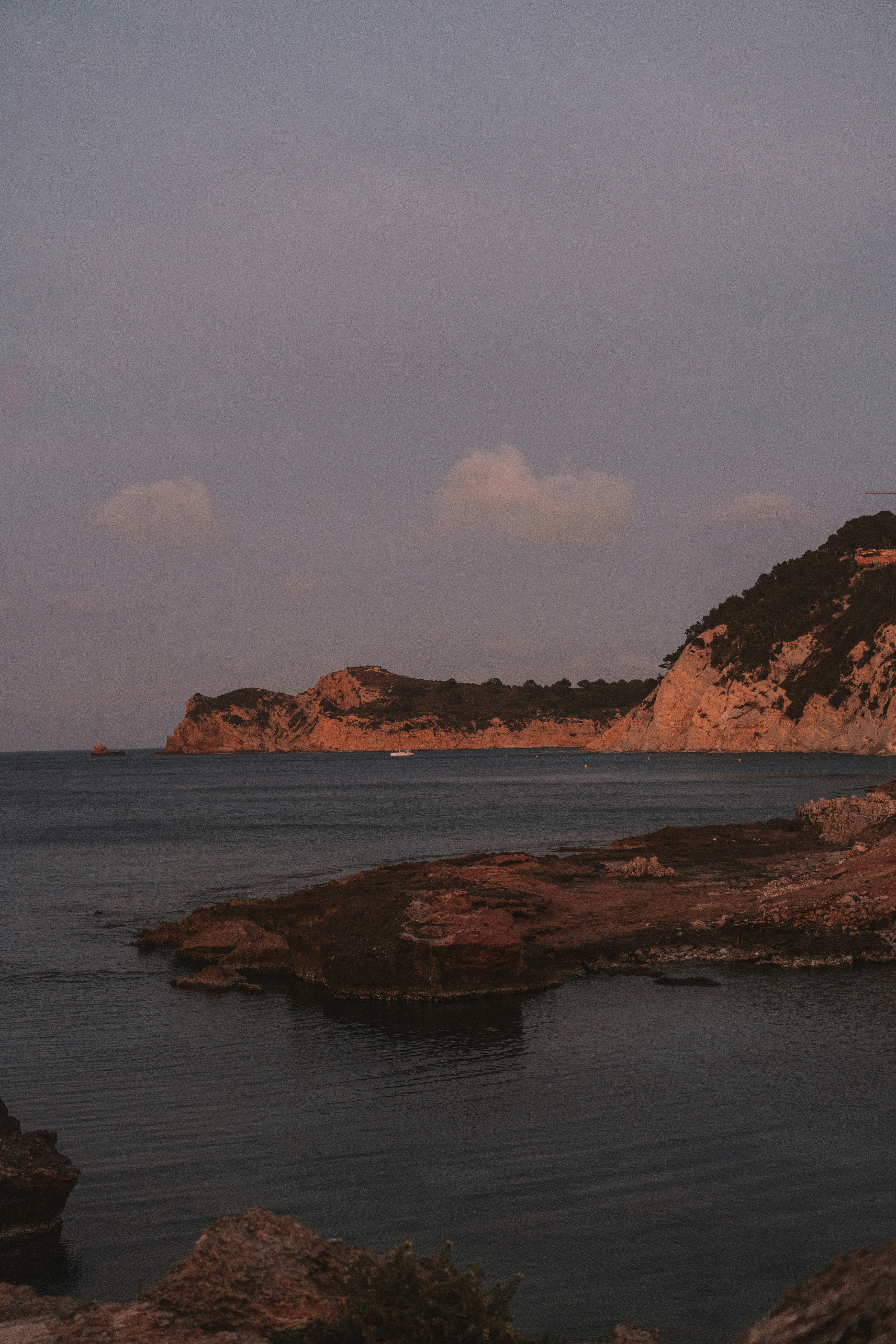 Photo by jorchalon