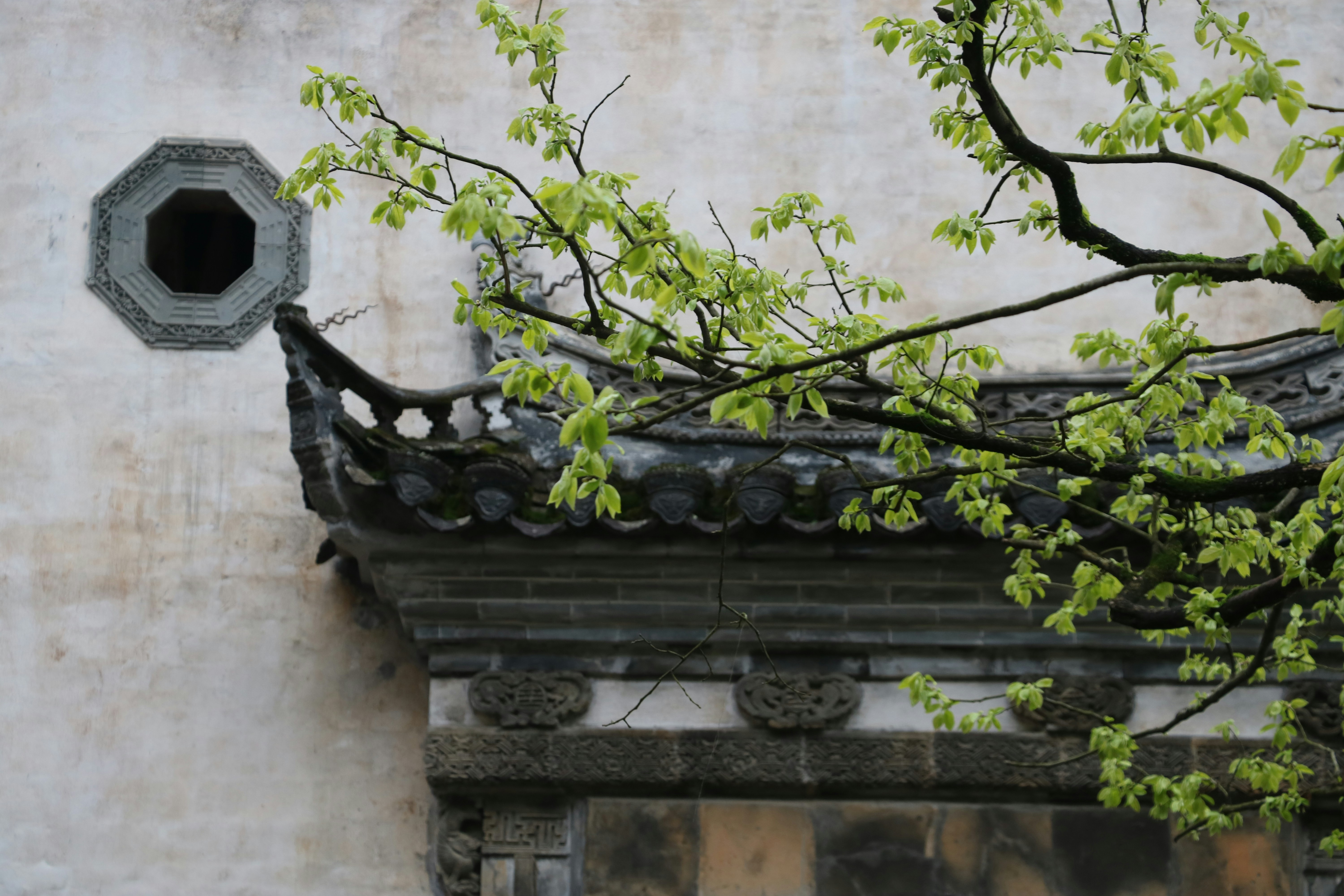 Photo by lvxiaojianac