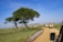 A smiling traveler standing beside a jeep with a vast savannah and acacia trees in the background.