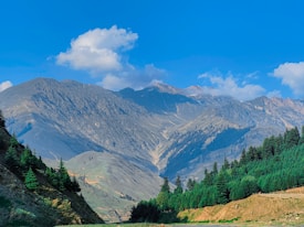 A scenic landscape showcasing a majestic mountain range under a clear blue sky with scattered clouds. The foreground features lush green pine trees and rolling hills, creating a serene and natural atmosphere.