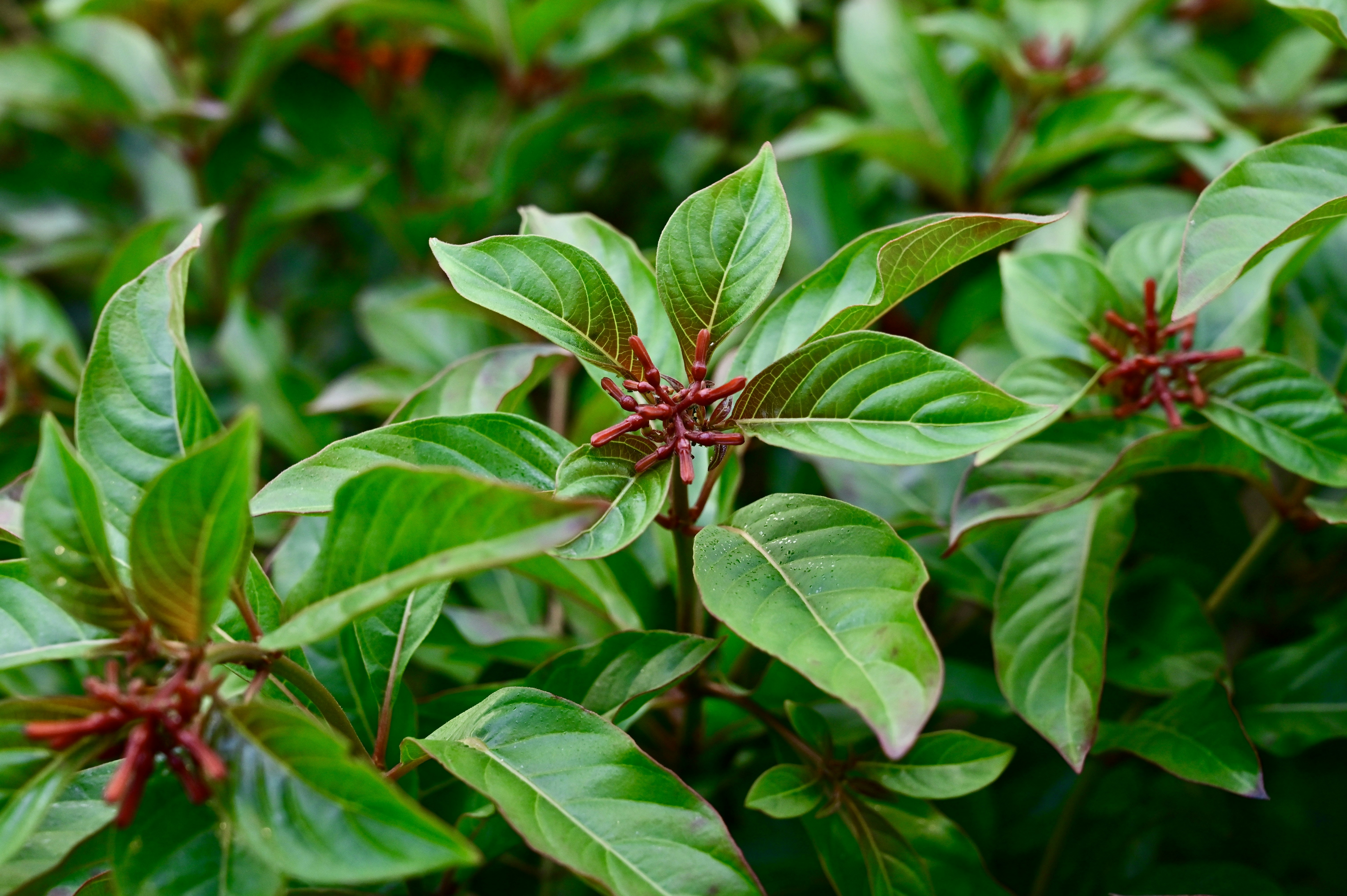 Photo by ojus_jaiswal_