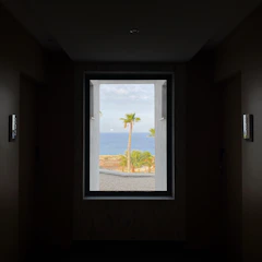 View from the Deluxe Room window showing swaying palm trees and ocean breeze.