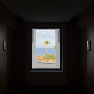 Cozy deluxe room with airy windows opening to palm trees and ocean breeze