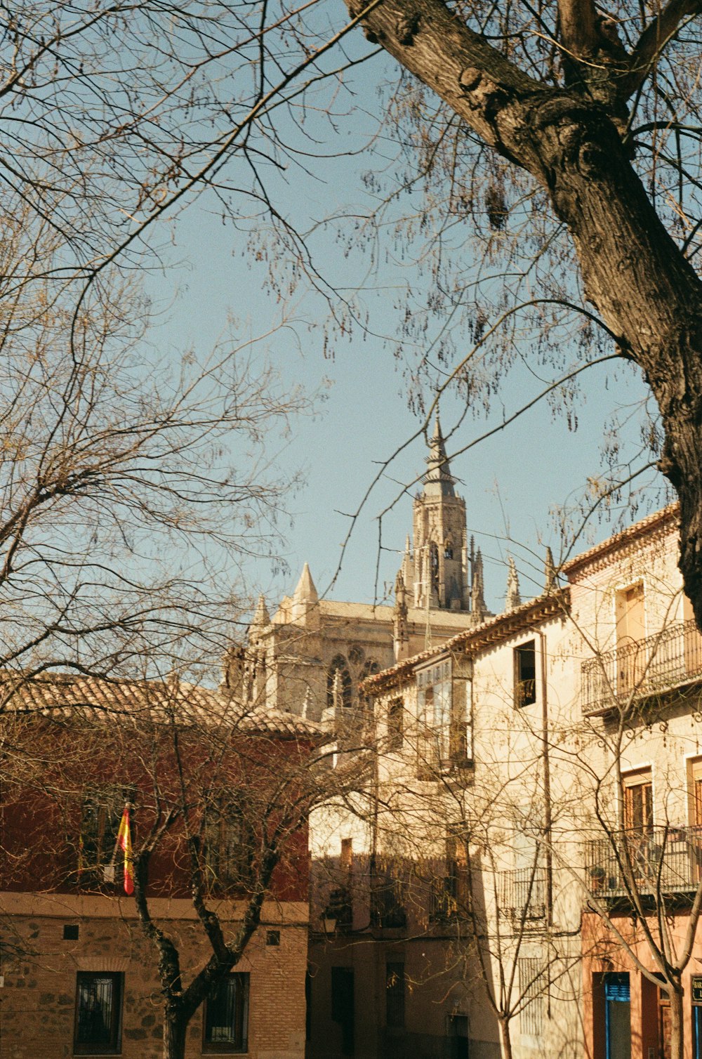 a tree with no leaves in front of a building