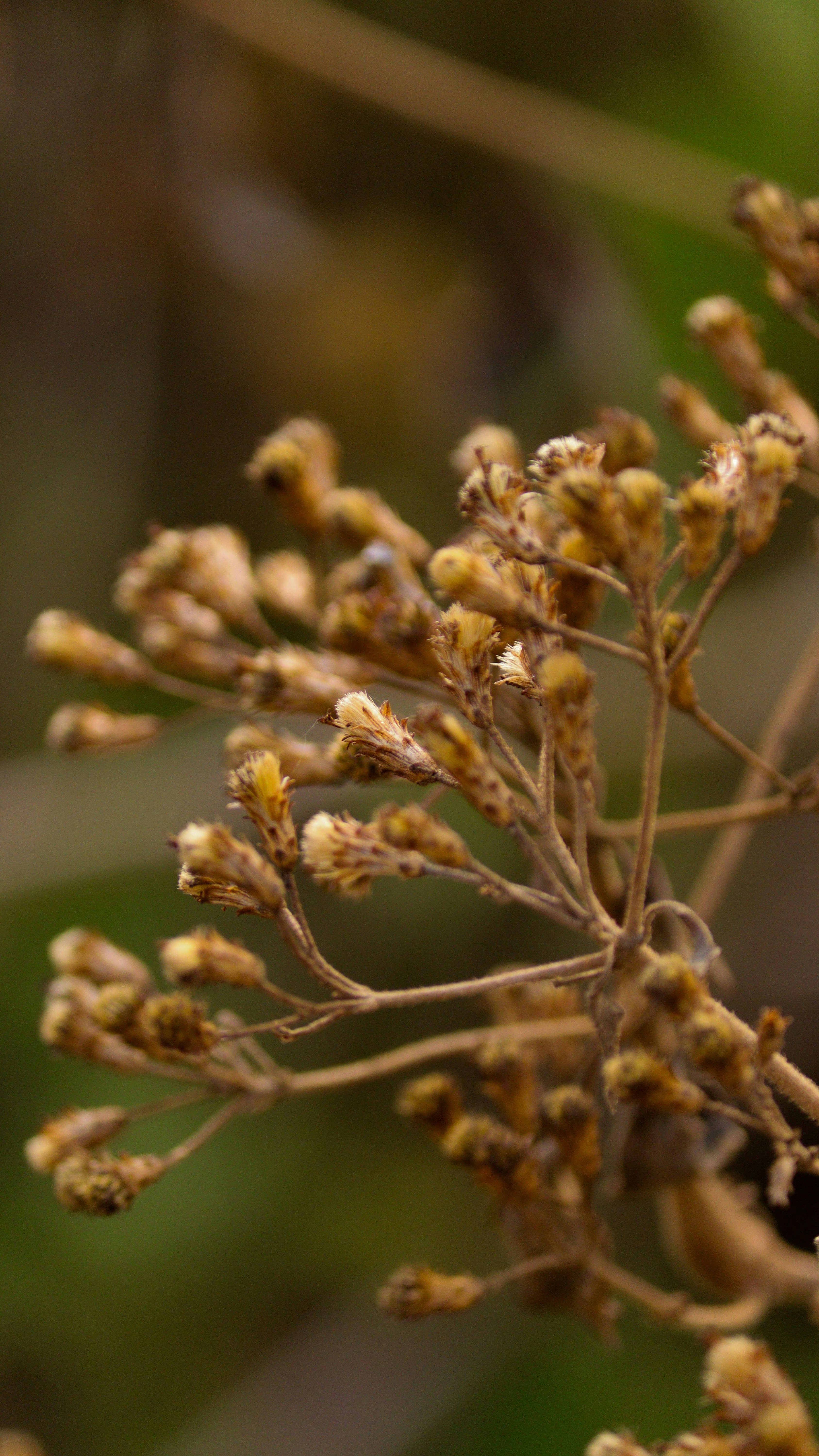 Photo by saravanan_sudalaimuthu