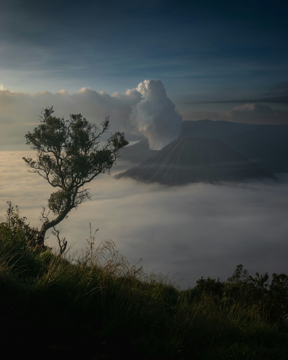 Un árbol solitario en la cima de una colina