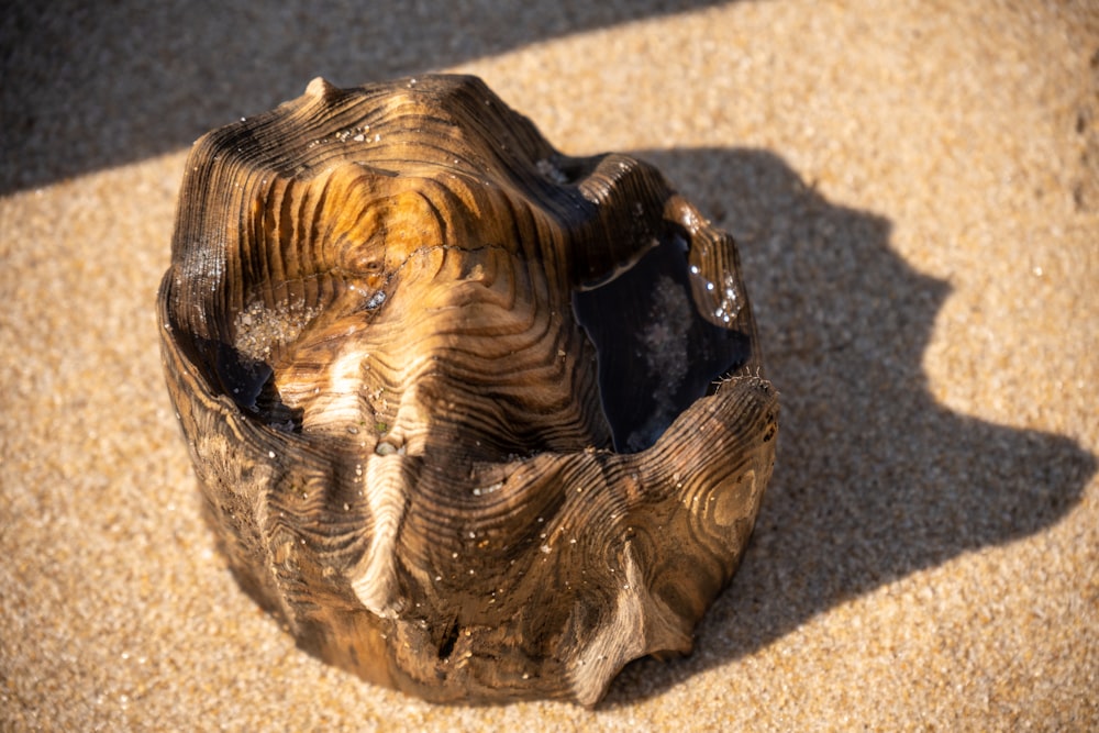 a piece of wood that is sitting in the sand