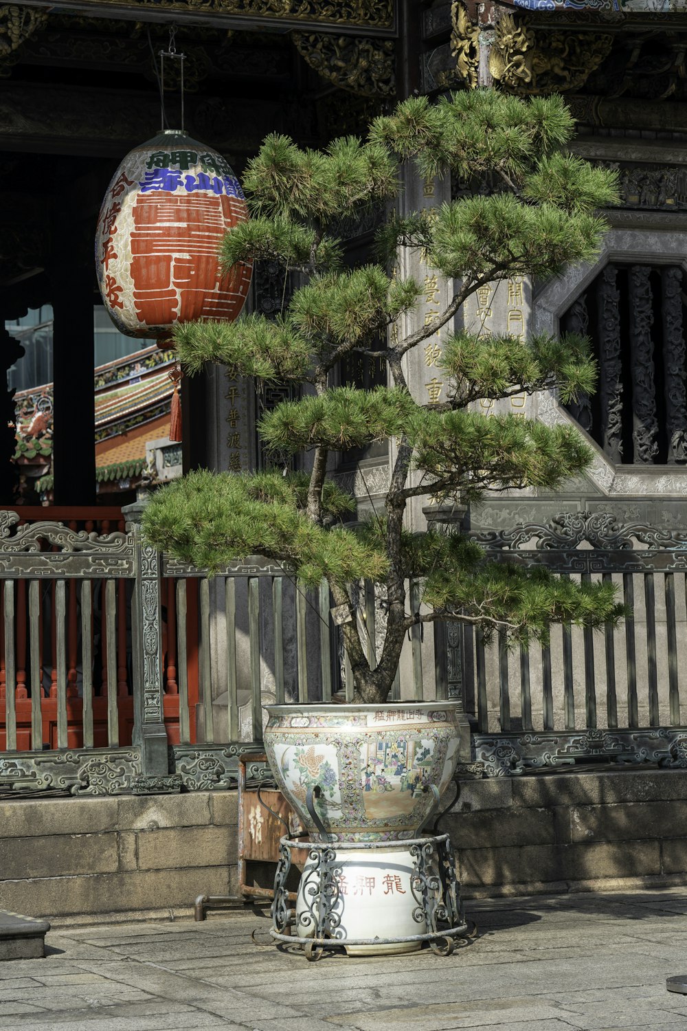 a bonsai tree in front of a building