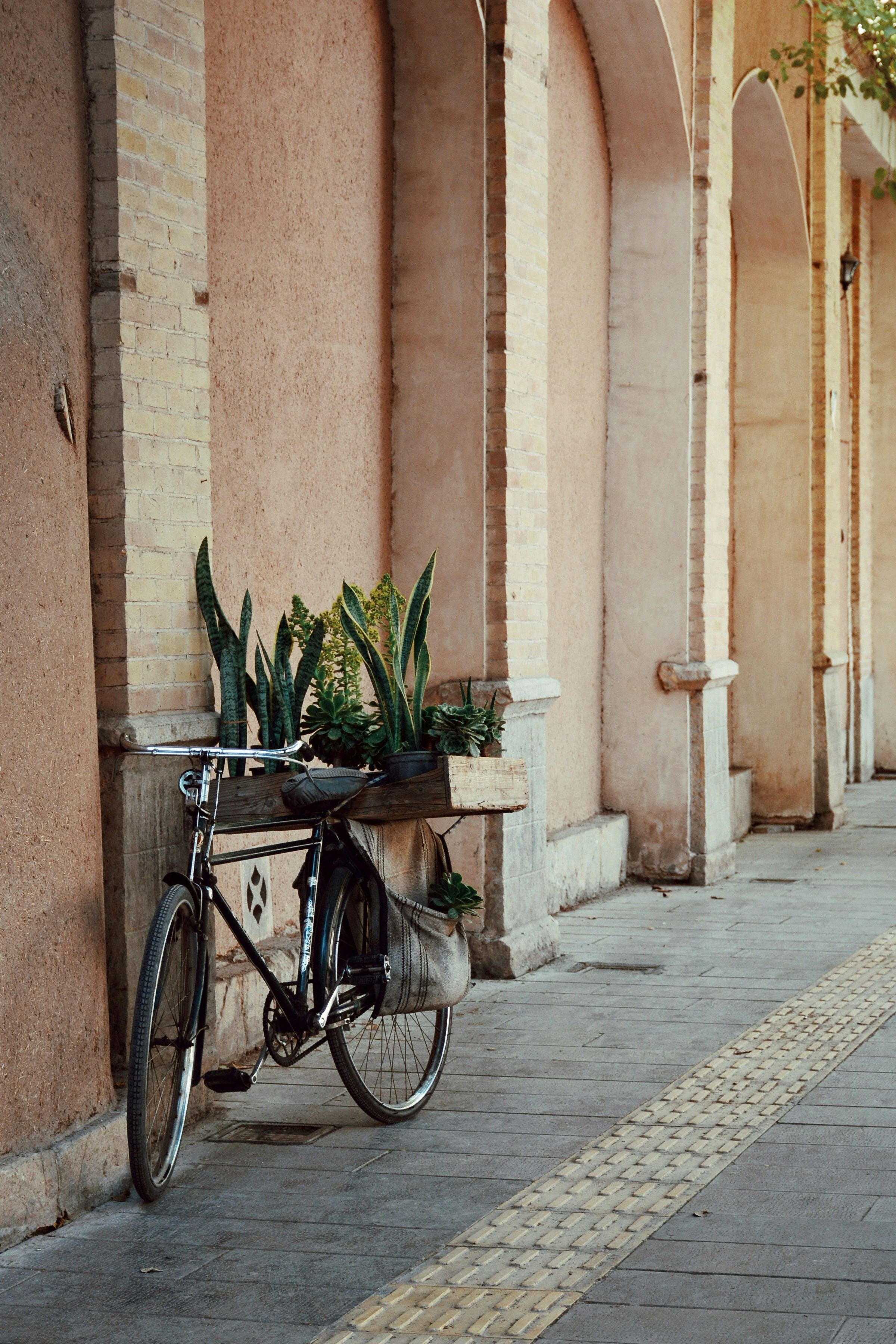 Photo by sara_ghasemi