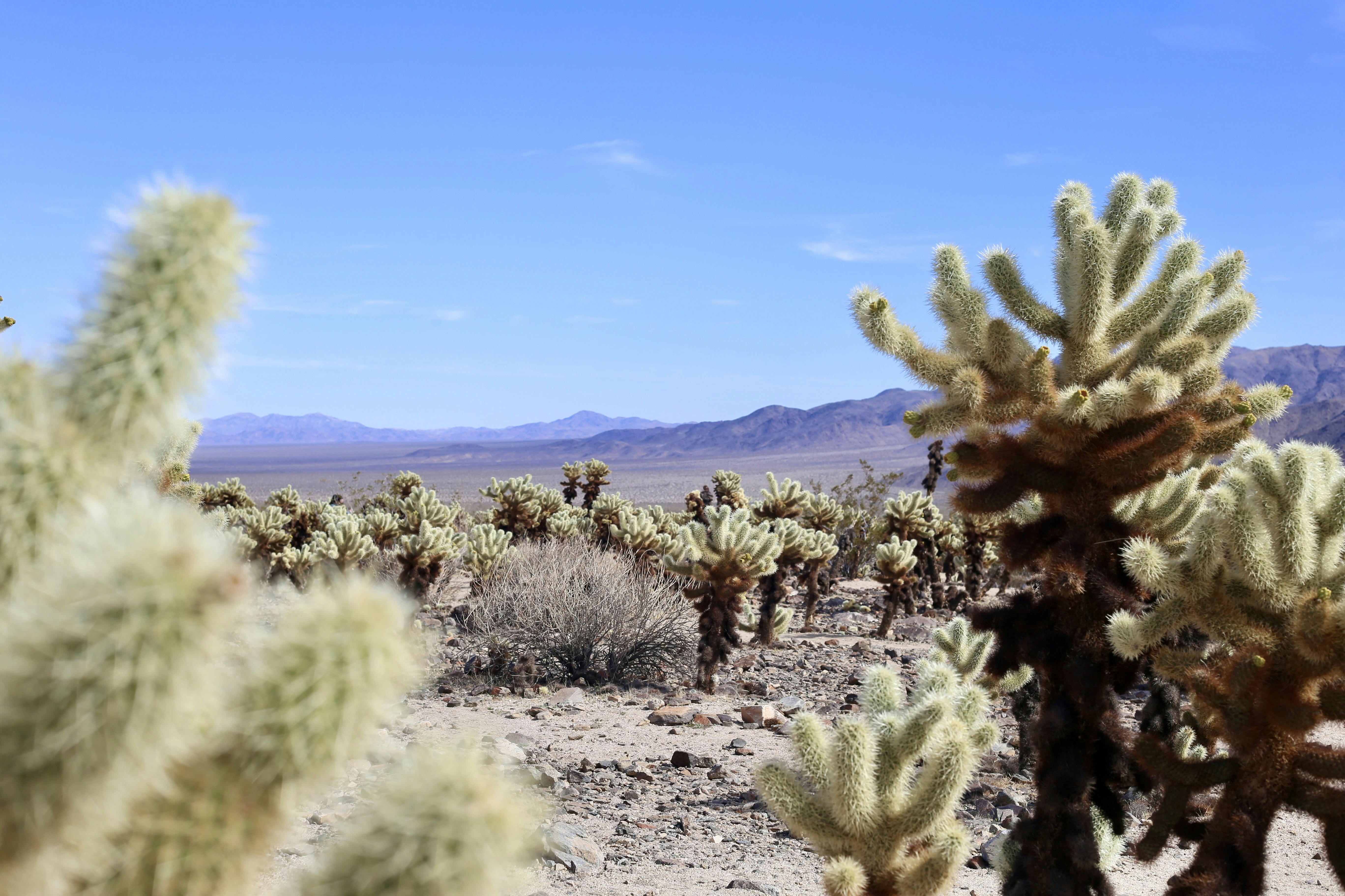 Photo by lexie_pixelestudio