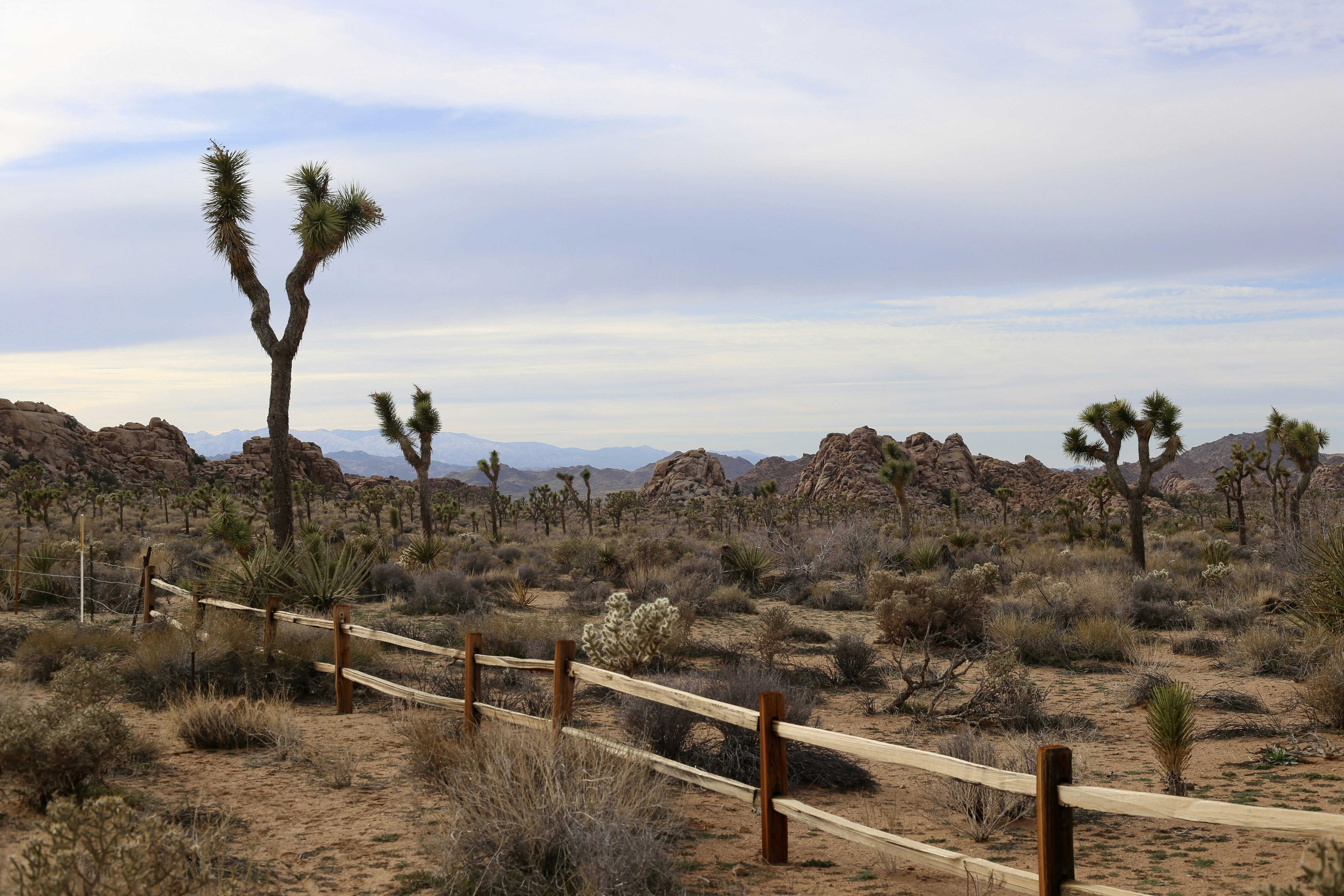 Photo by lexie_pixelestudio