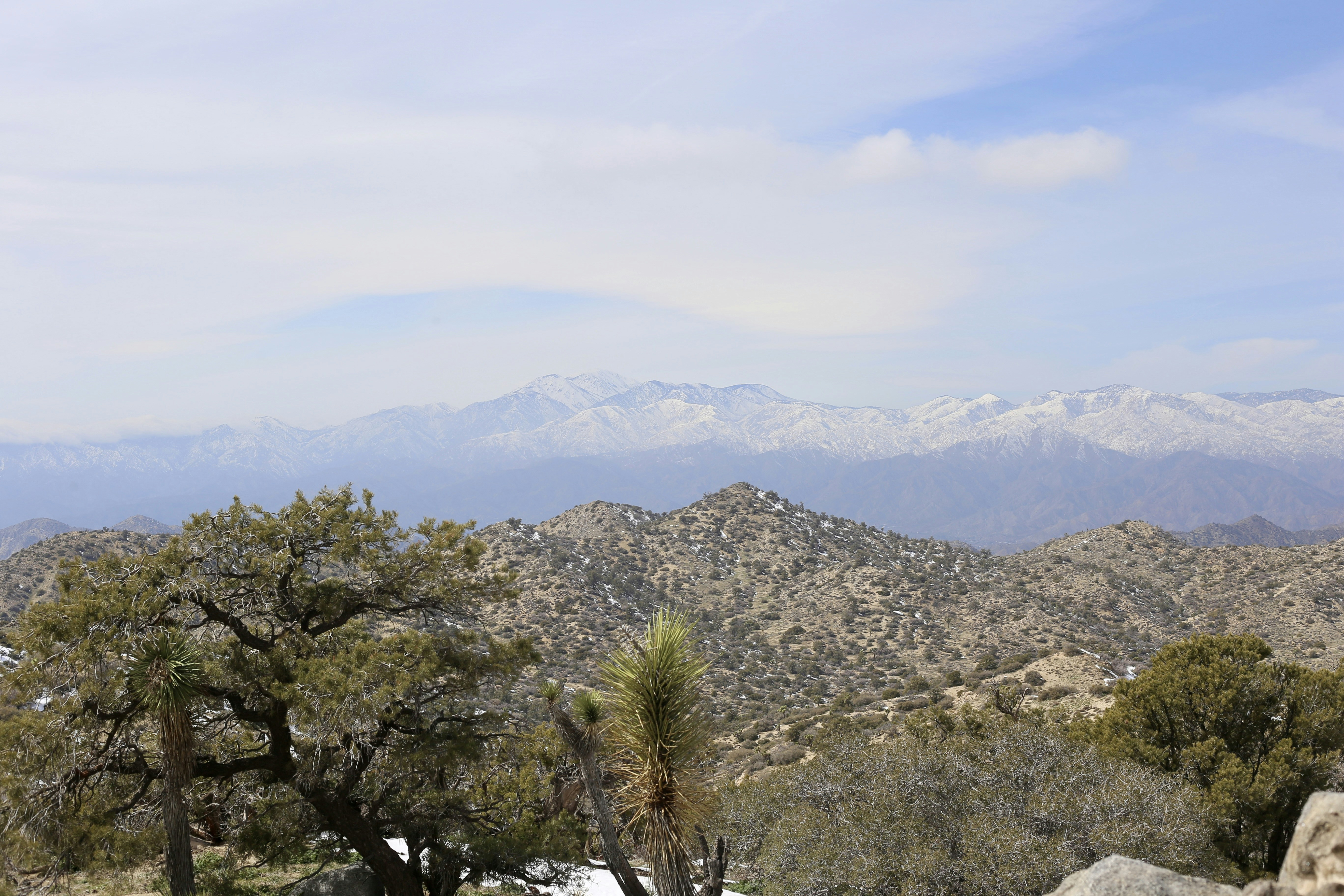 Photo by lexie_pixelestudio