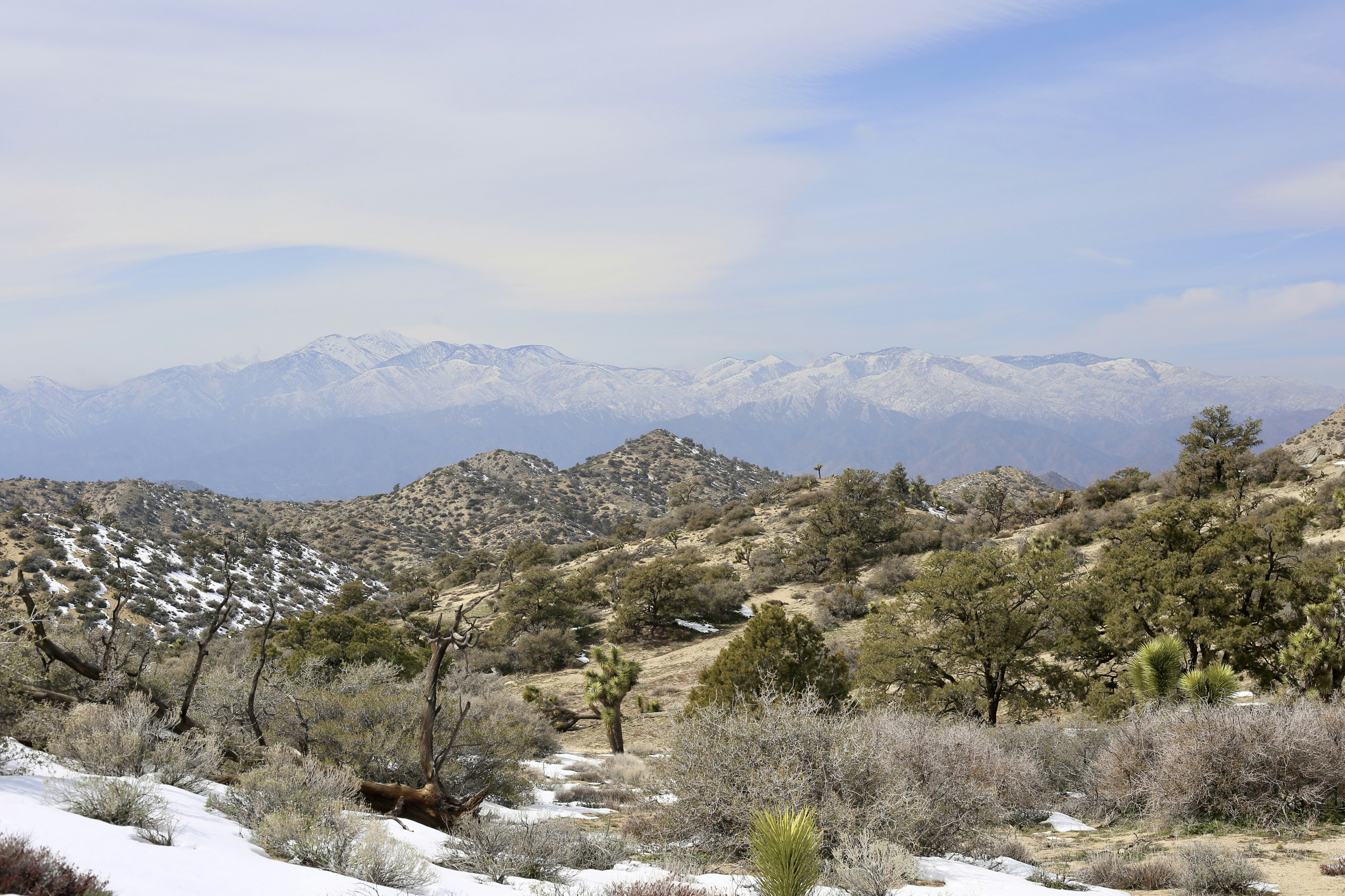 Photo by lexie_pixelestudio