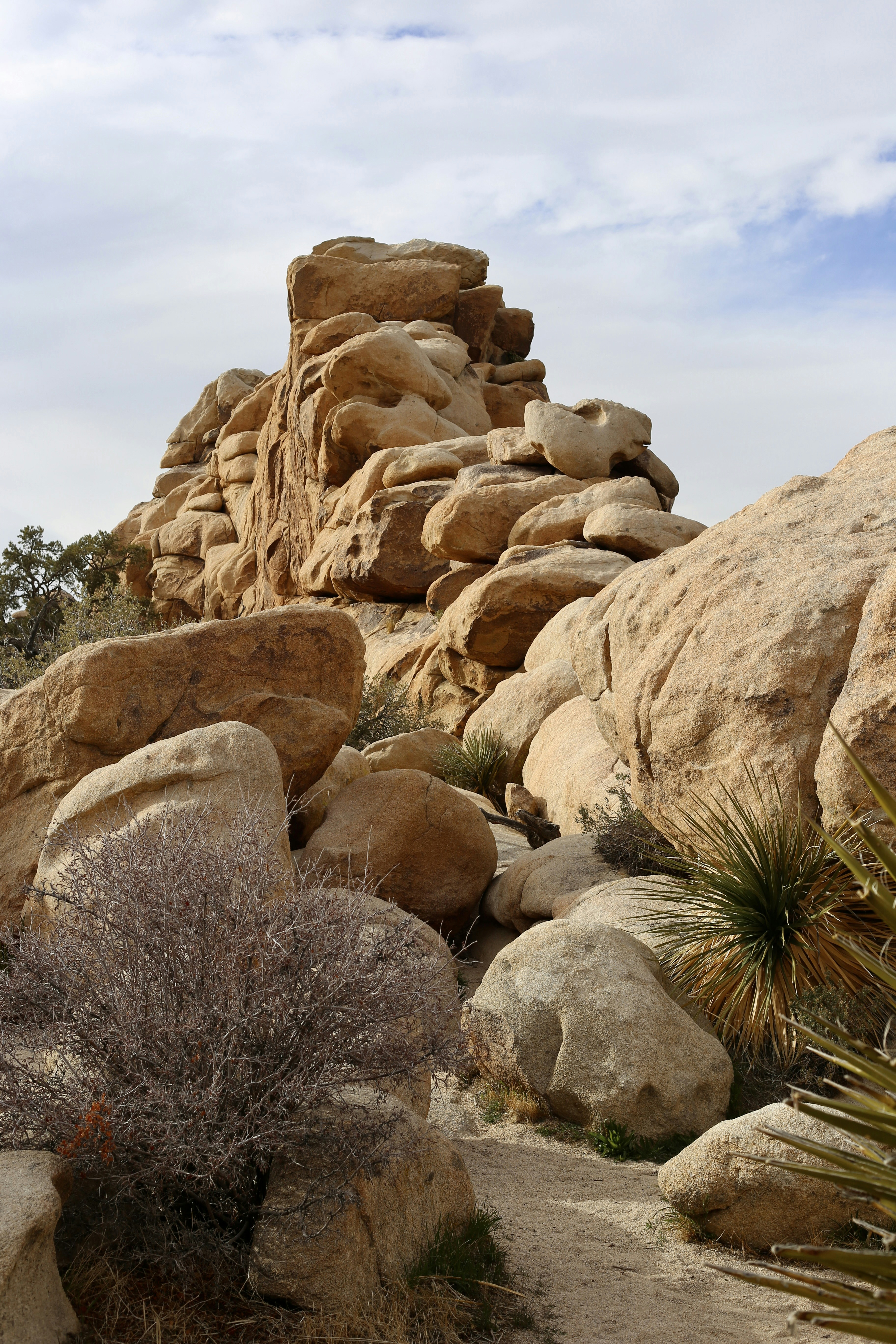 Photo by lexie_pixelestudio