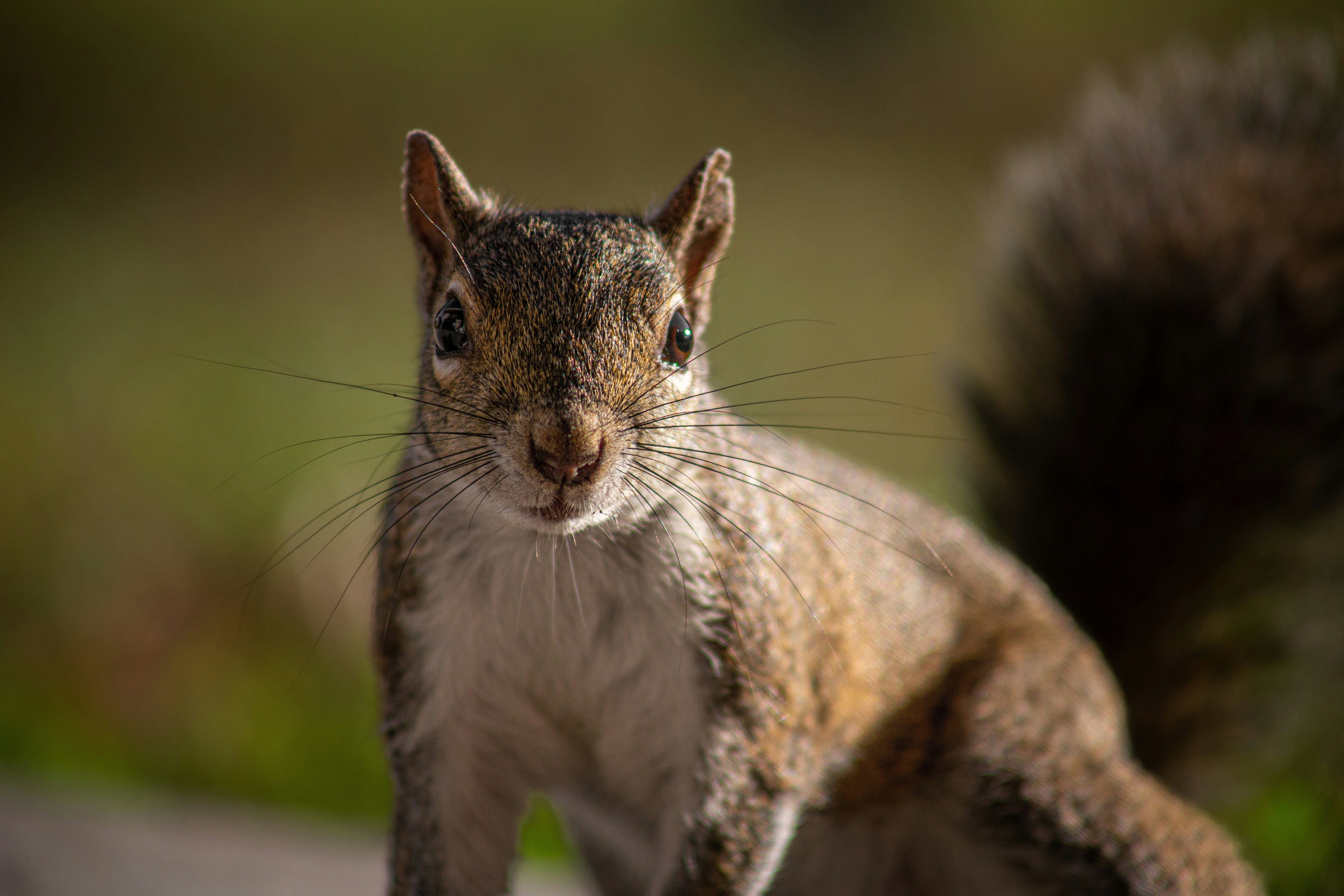 Photo by thiscommonground