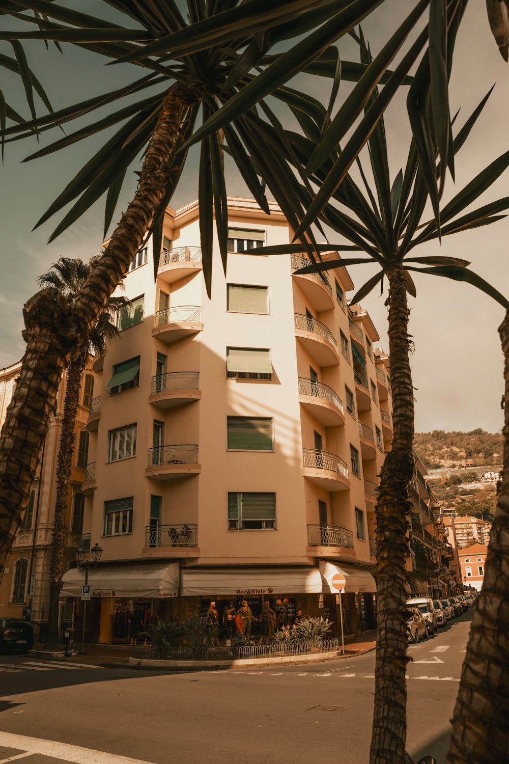 a tall building with palm trees in front of it