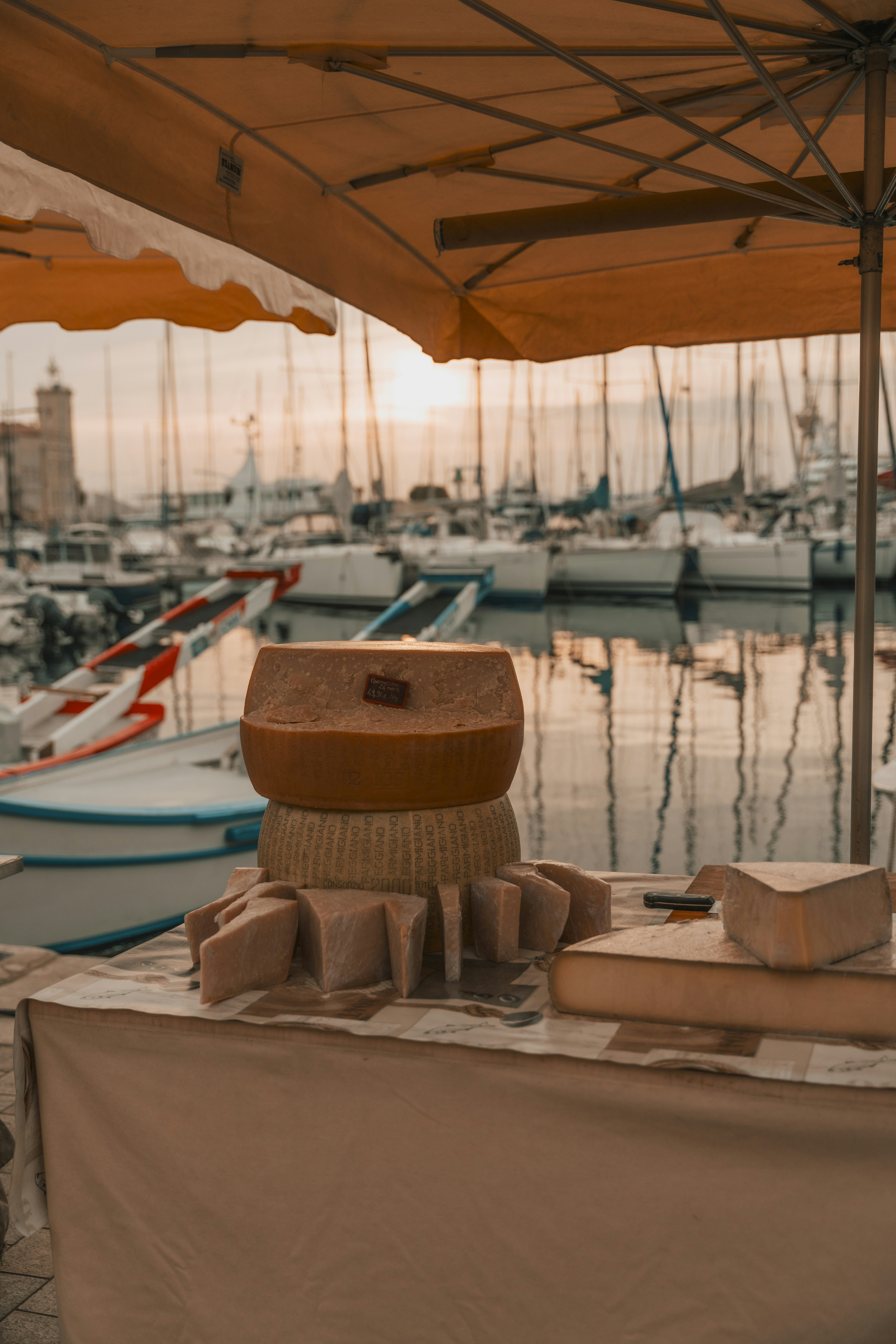 Cave d'affinage à température humide