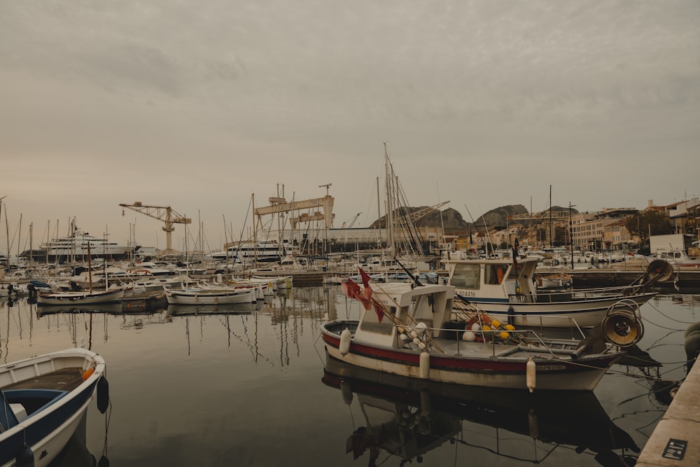 a harbor filled with lots of boats on top of water