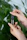 Close-up of hands holding a THC-infused beverage with shelves of cannabis products blurred in the background.