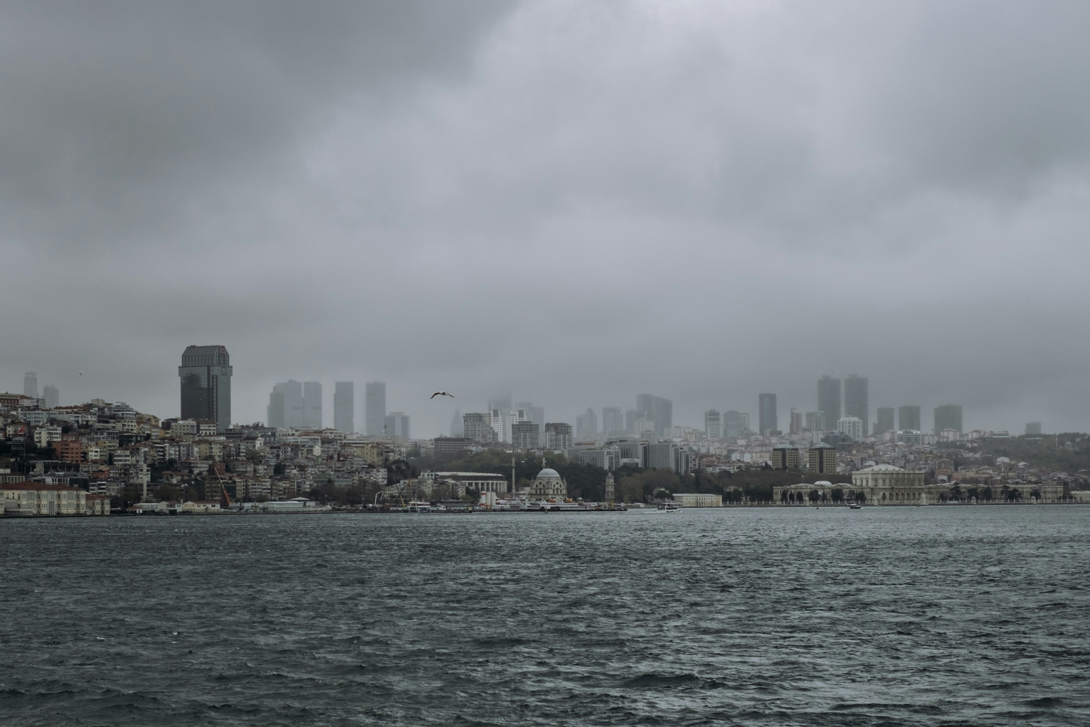 comprehensive preventive