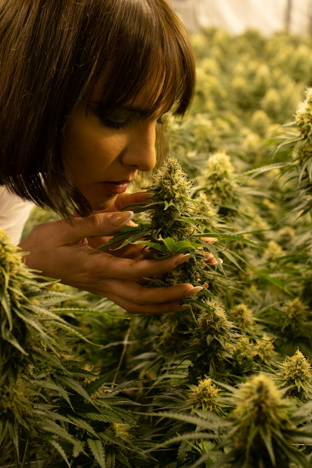 a woman smelling a weed in a field