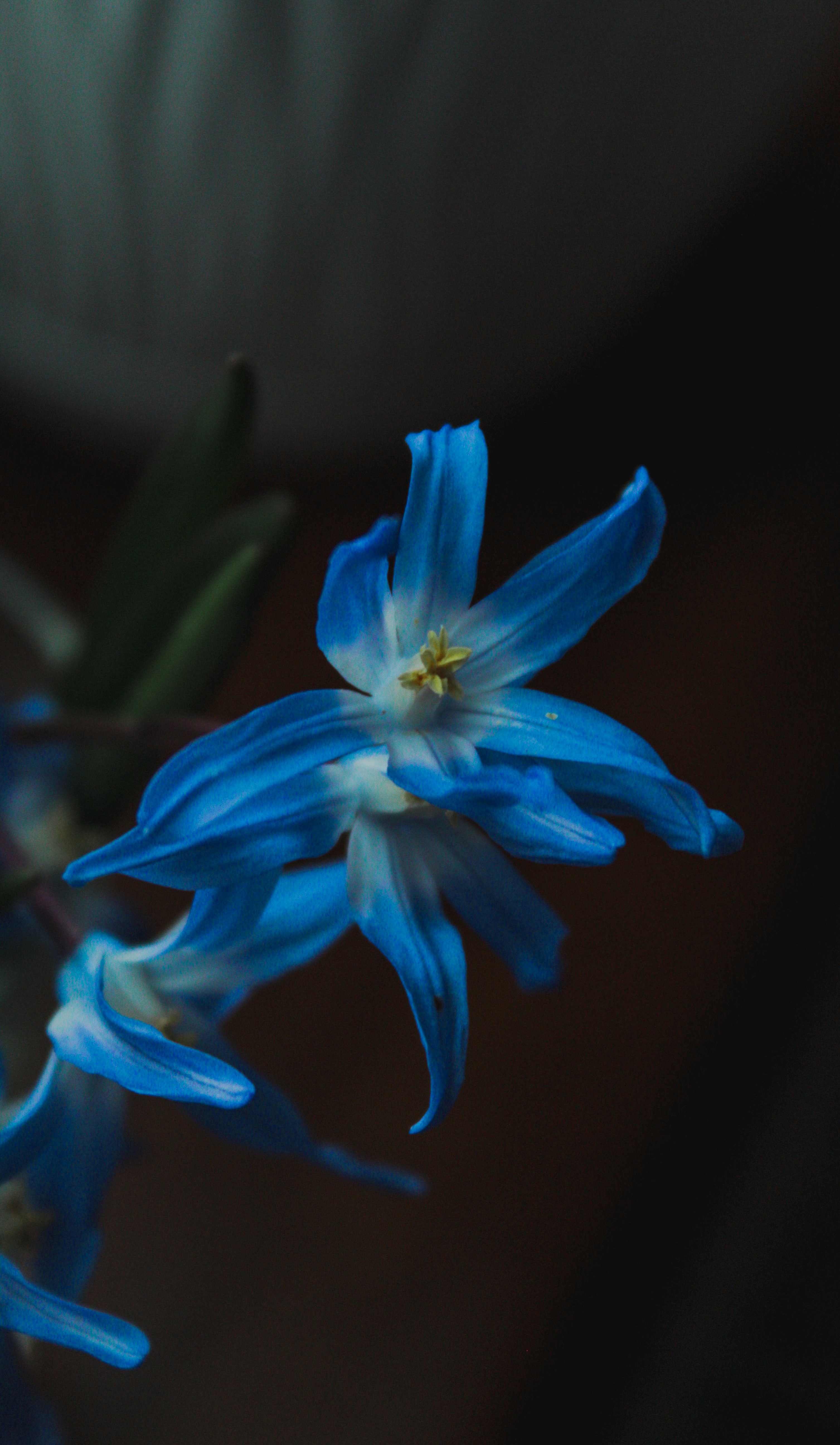Photo by karinamidlovsla