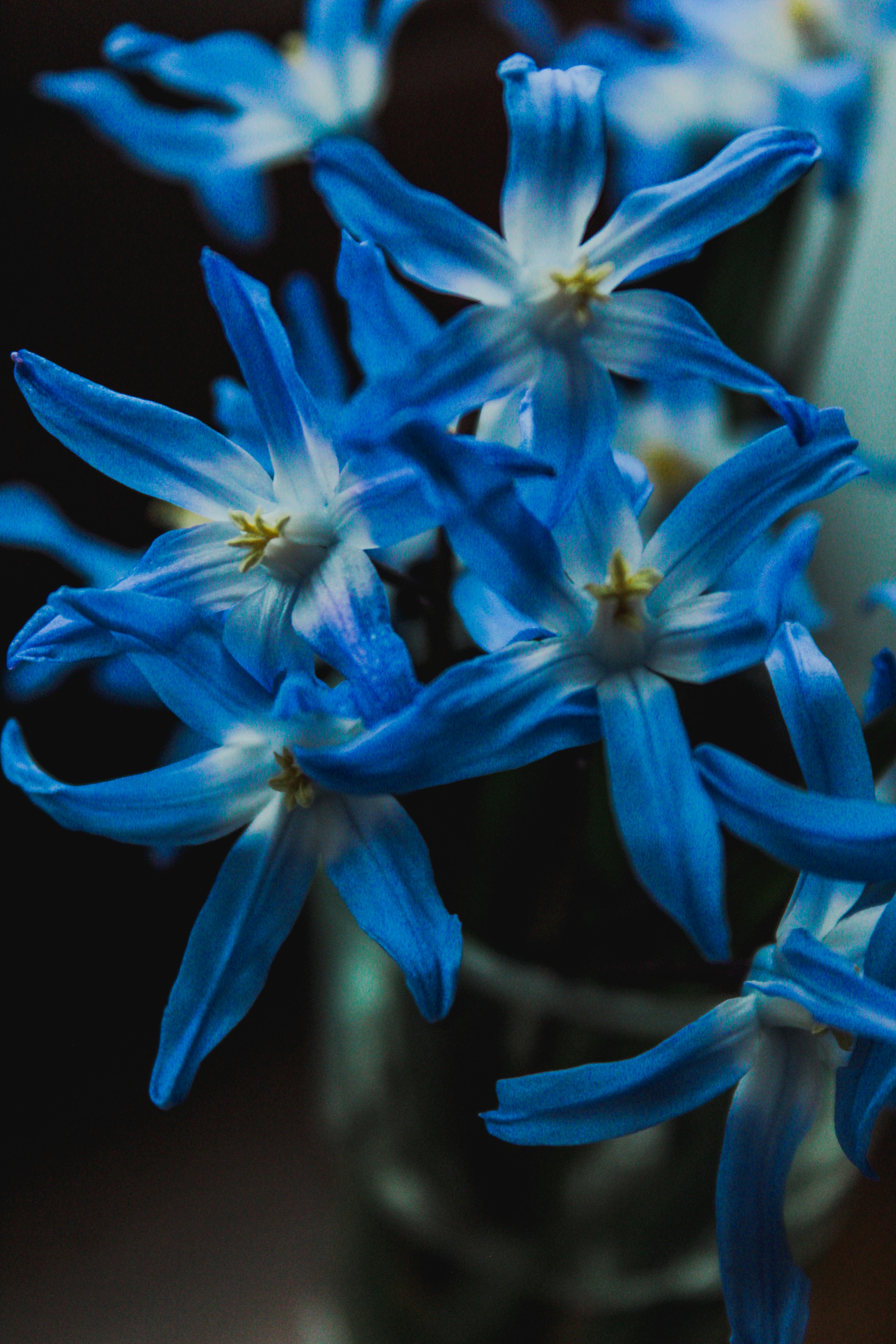 Photo by karinamidlovsla