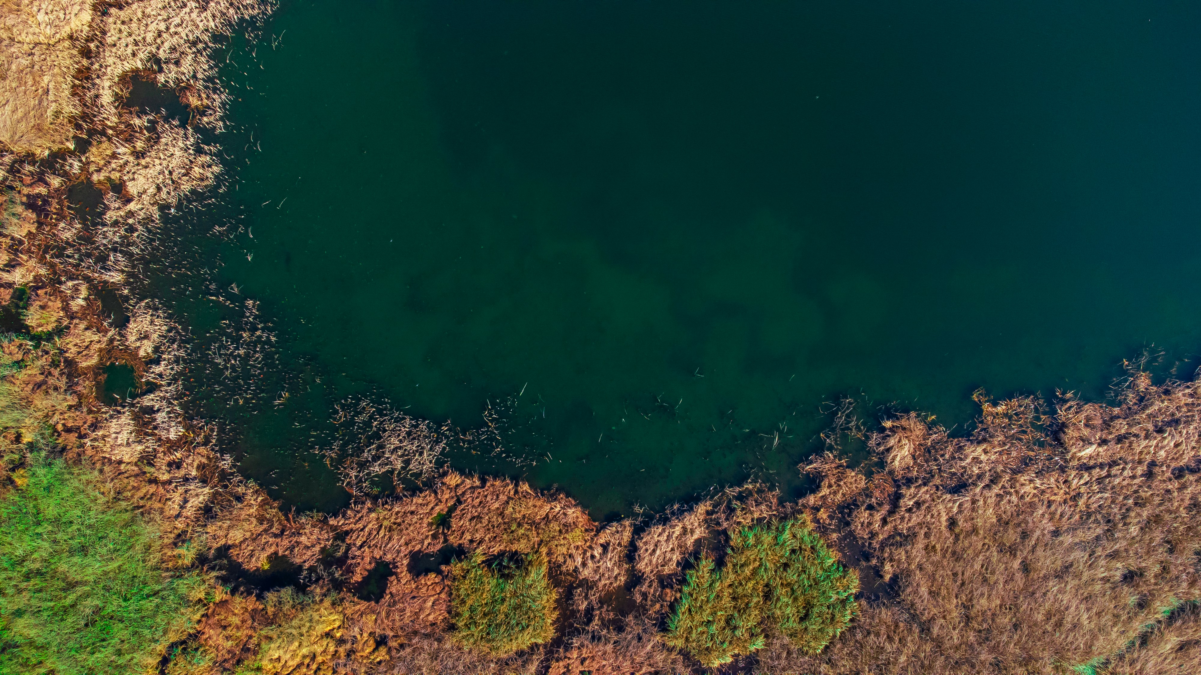 Photo by suleymancansezgi